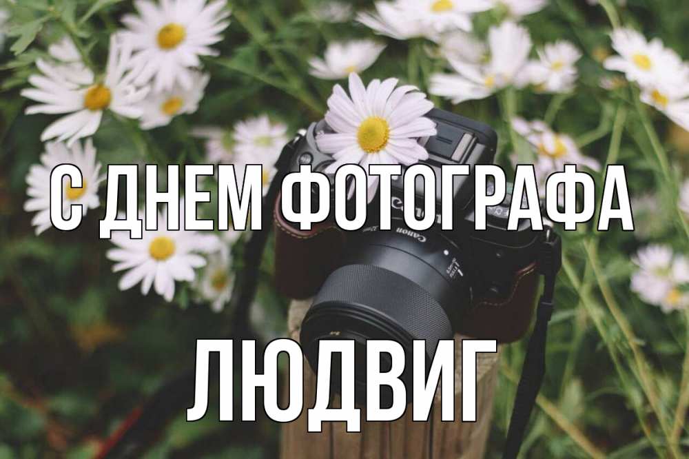 Открытка на каждый день с именем, Людвиг С днем фотографа с днем фотографа Прикольная открытка с пожеланием онлайн скачать бесплатно 