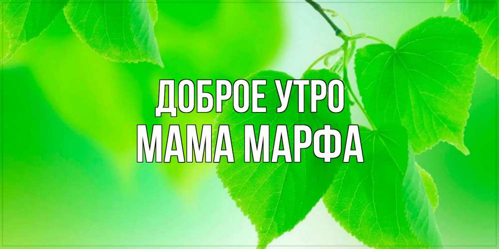 Открытка на каждый день с именем, Мама-Марфа Доброе утро доброе утро с березовыми листьями Прикольная открытка с пожеланием онлайн скачать бесплатно 