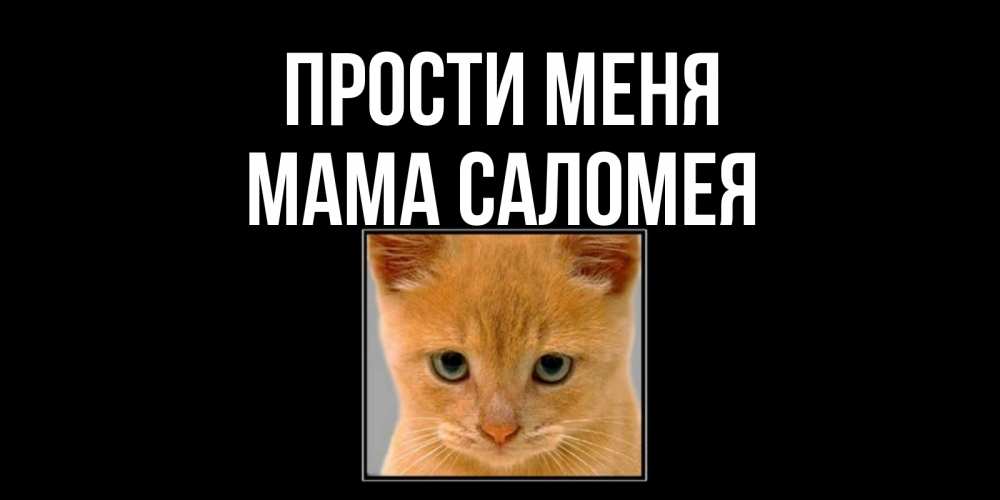 Открытка на каждый день с именем, Мама-Саломея Прости меня рыжий грустный кот просит прощения Прикольная открытка с пожеланием онлайн скачать бесплатно 