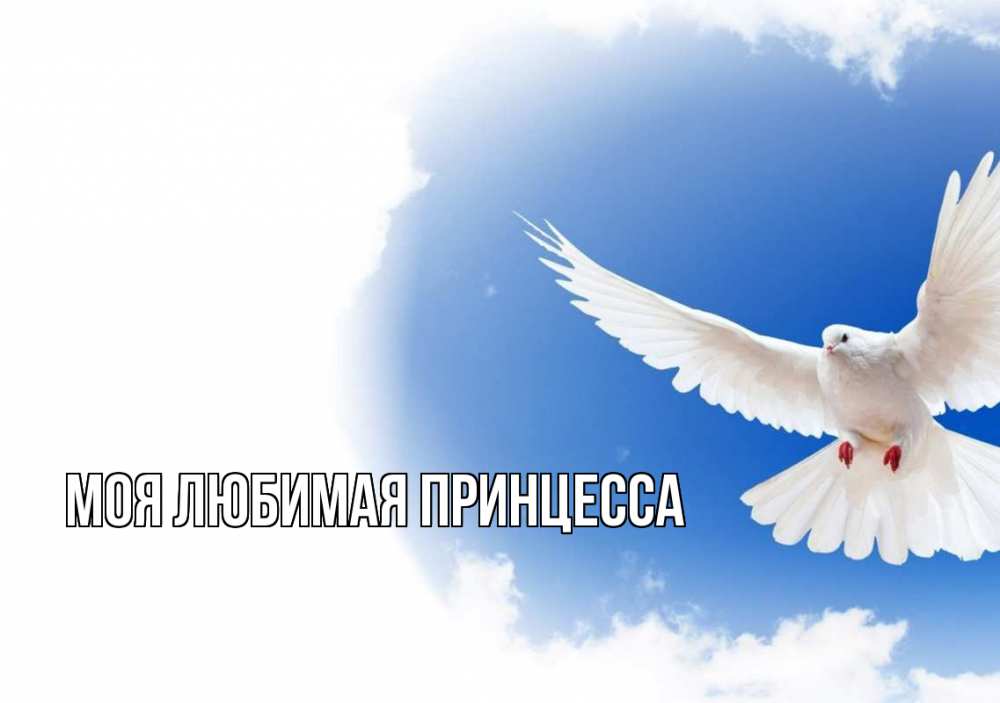 Открытка на каждый день с именем, Моя-Любимая-Принцесса Главная С 1 мая Прикольная открытка с пожеланием онлайн скачать бесплатно 