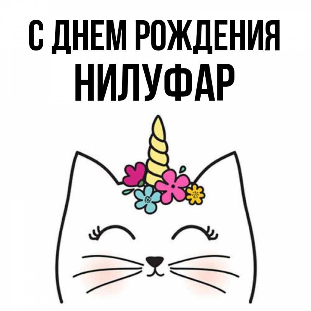 Открытка на каждый день с именем, Нилуфар С днем рождения милый кот с одним рожком Прикольная открытка с пожеланием онлайн скачать бесплатно 