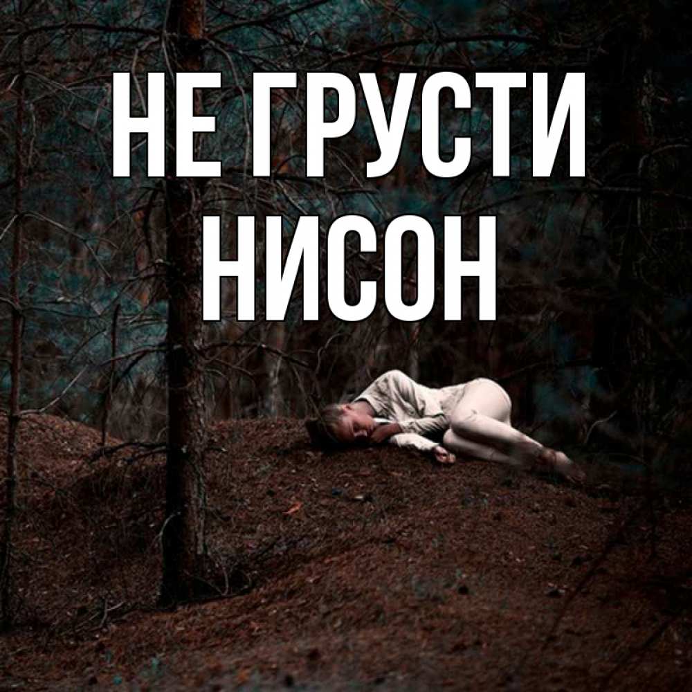 Открытка на каждый день с именем, Нисон Не грусти лес Прикольная открытка с пожеланием онлайн скачать бесплатно 