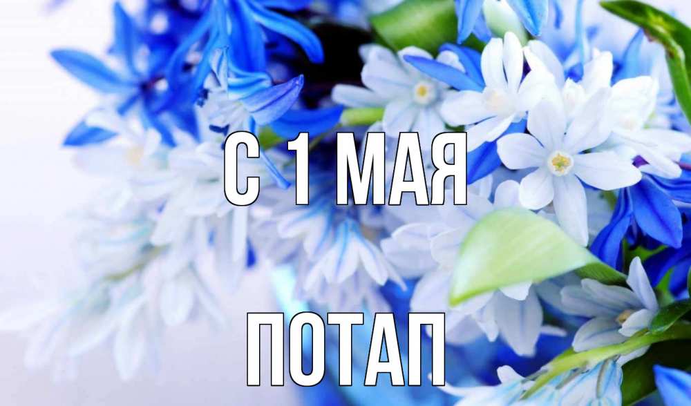 Открытка на каждый день с именем, Потап С 1 мая С 1 мая Прикольная открытка с пожеланием онлайн скачать бесплатно 