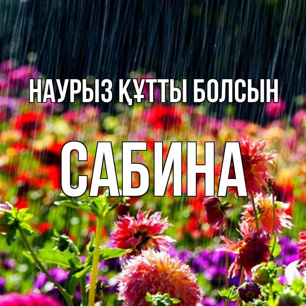 Открытка на каждый день с именем, Сабина Наурыз құтты болсын цветы под дождиком к наурызу Прикольная открытка с пожеланием онлайн скачать бесплатно 