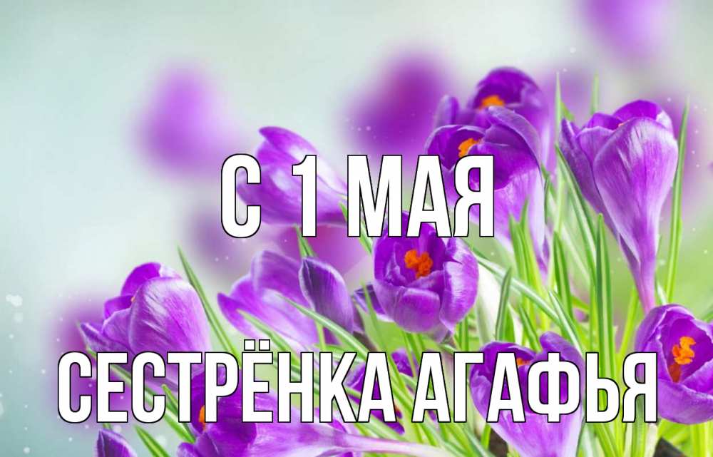 Открытка на каждый день с именем, Сестрёнка-Агафья С 1 мая 1 мая Прикольная открытка с пожеланием онлайн скачать бесплатно 