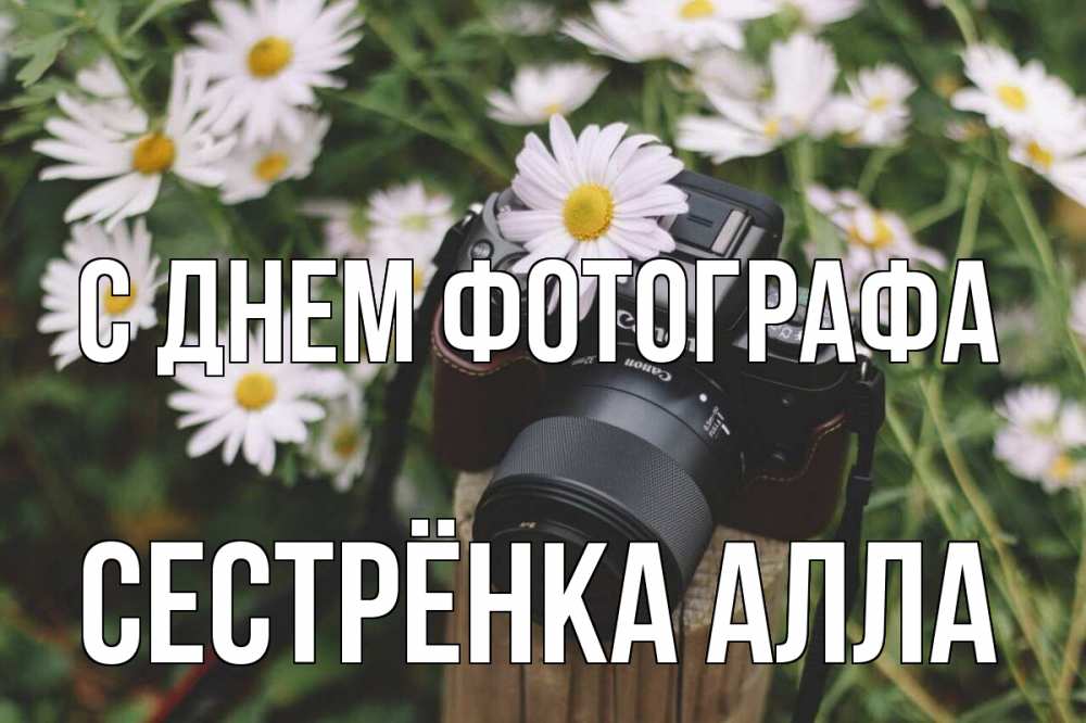 Открытка на каждый день с именем, Сестрёнка-Алла С днем фотографа с днем фотографа Прикольная открытка с пожеланием онлайн скачать бесплатно 
