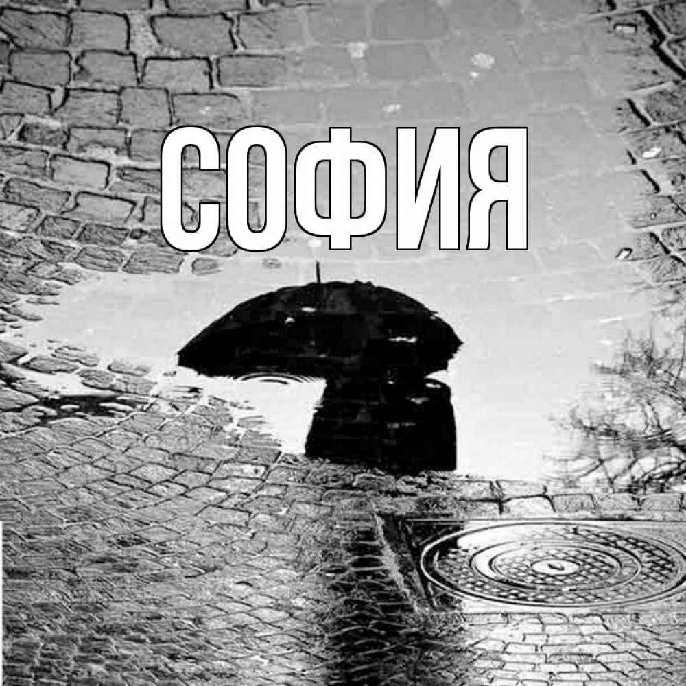 Открытка на каждый день с именем, София Главная зонт люк Прикольная открытка с пожеланием онлайн скачать бесплатно 