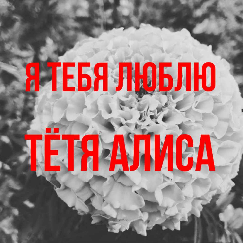 Открытка на каждый день с именем, Тётя-Алиса Я тебя люблю подпись Прикольная открытка с пожеланием онлайн скачать бесплатно 