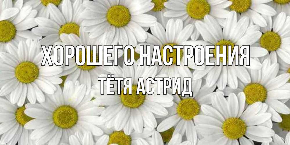 Открытка на каждый день с именем, Тётя-Астрид Хорошего настроения поляна ромашек Прикольная открытка с пожеланием онлайн скачать бесплатно 