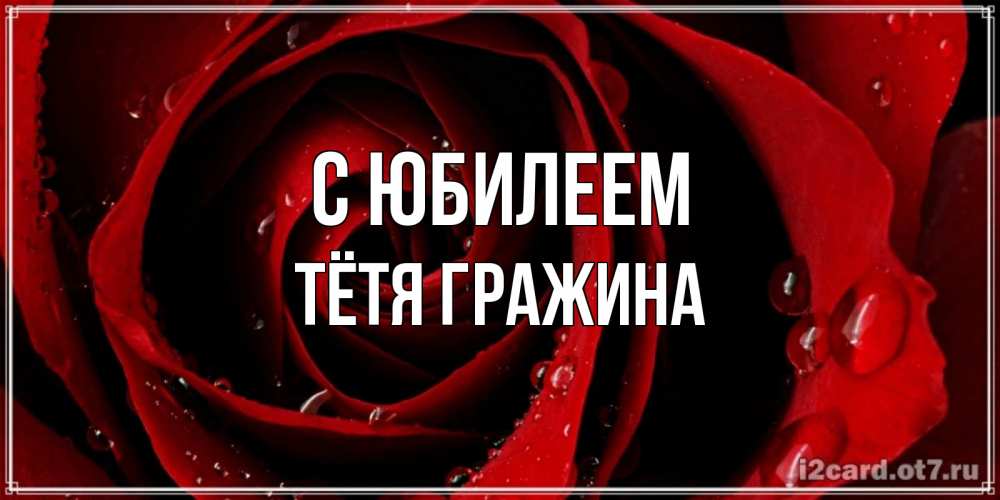 Открытка на каждый день с именем, Тётя-Гражина С юбилеем крупная бордовая роза Прикольная открытка с пожеланием онлайн скачать бесплатно 