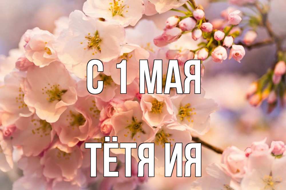 Открытка на каждый день с именем, Тётя-Ия С 1 мая С 1 мая Прикольная открытка с пожеланием онлайн скачать бесплатно 