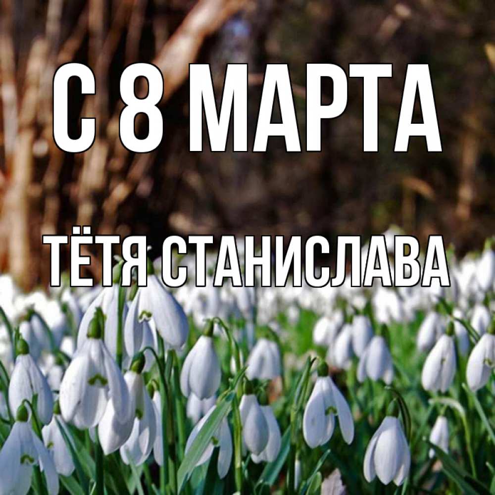 Открытка на каждый день с именем, Тётя-Станислава С 8 МАРТА с подснежниками 1 Прикольная открытка с пожеланием онлайн скачать бесплатно 
