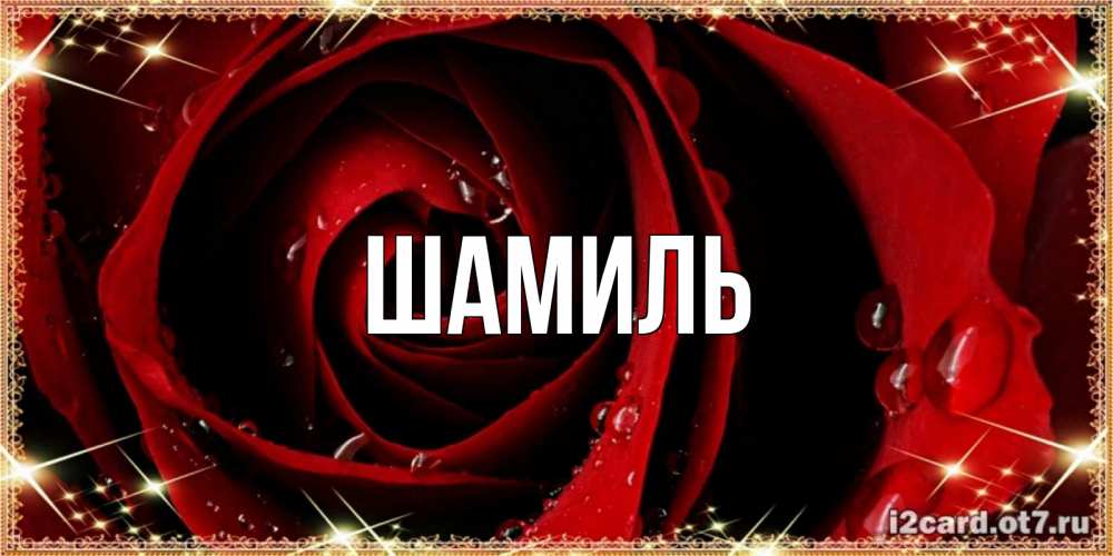 Открытка на каждый день с именем, Шамиль Главная цветок в росе на день рождения Прикольная открытка с пожеланием онлайн скачать бесплатно 