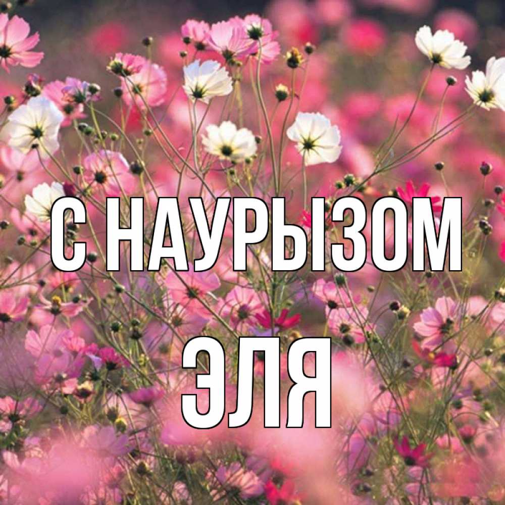 Открытка на каждый день с именем, Эля С наурызом красиво 1 Прикольная открытка с пожеланием онлайн скачать бесплатно 