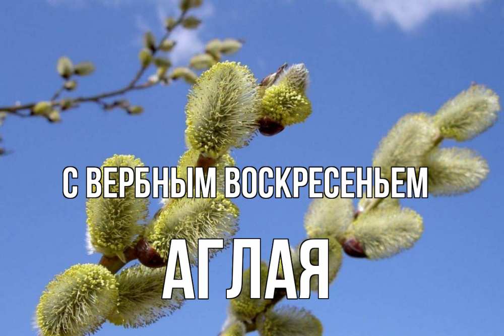 Открытка на каждый день с именем, Аглая С вербным воскресеньем верба Прикольная открытка с пожеланием онлайн скачать бесплатно 