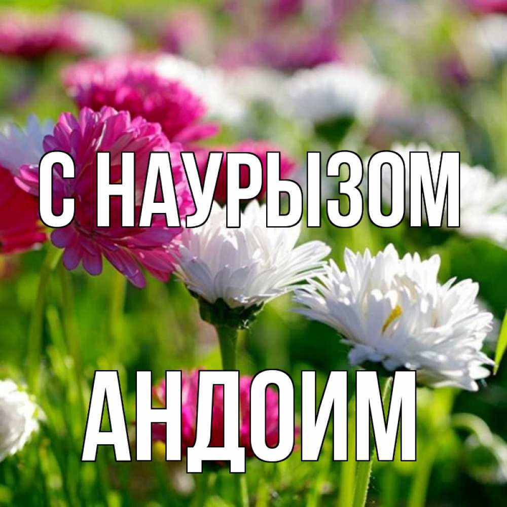 Открытка на каждый день с именем, Андоим С наурызом праздник весны наурыз красота Прикольная открытка с пожеланием онлайн скачать бесплатно 