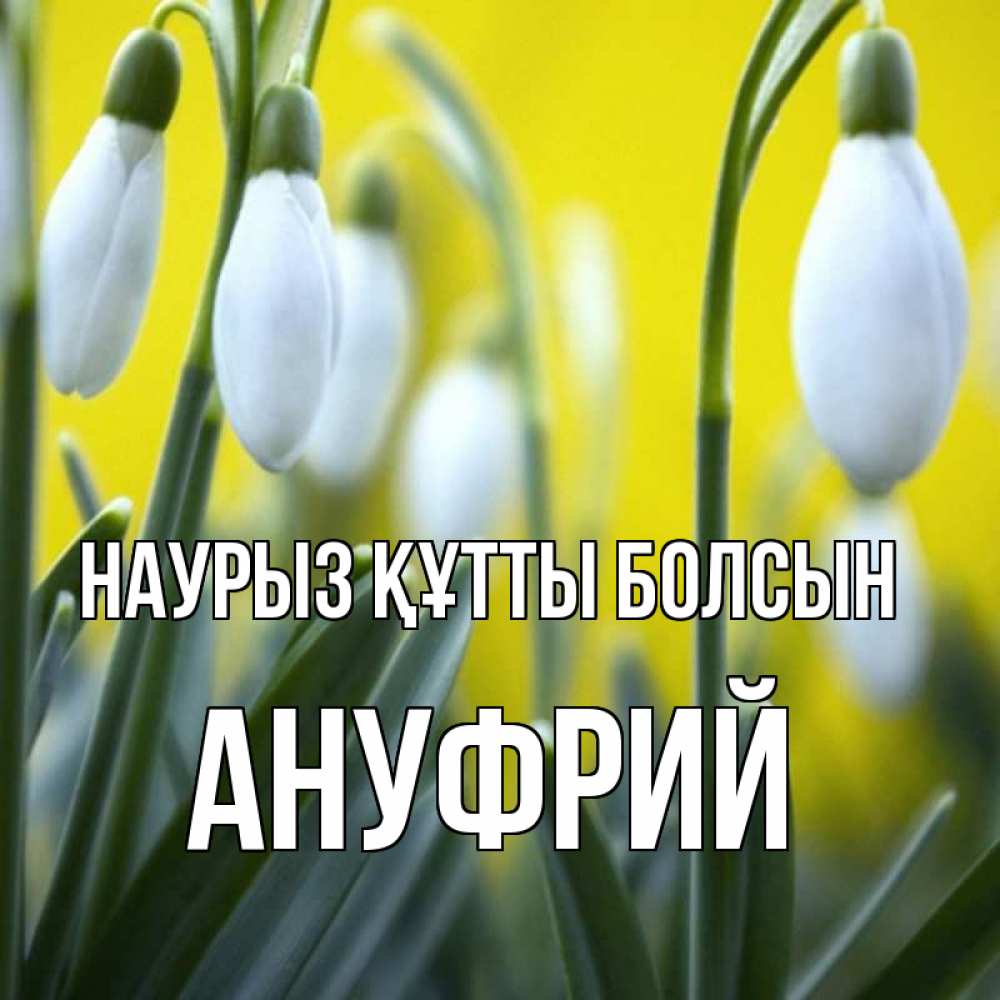 Открытка на каждый день с именем, Ануфрий Наурыз құтты болсын весенние цветы Прикольная открытка с пожеланием онлайн скачать бесплатно 