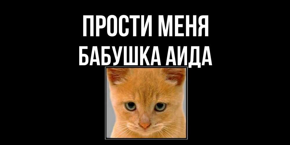Открытка на каждый день с именем, Бабушка-Аида Прости меня рыжий грустный кот просит прощения Прикольная открытка с пожеланием онлайн скачать бесплатно 