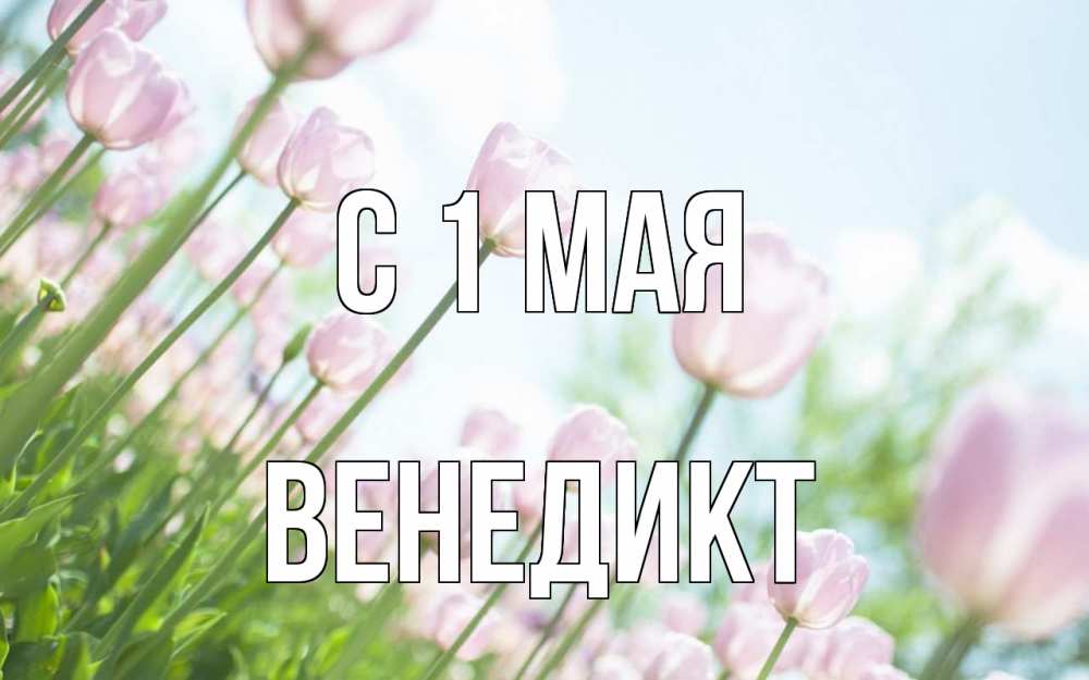 Открытка на каждый день с именем, Венедикт С 1 мая С 1 мая Прикольная открытка с пожеланием онлайн скачать бесплатно 