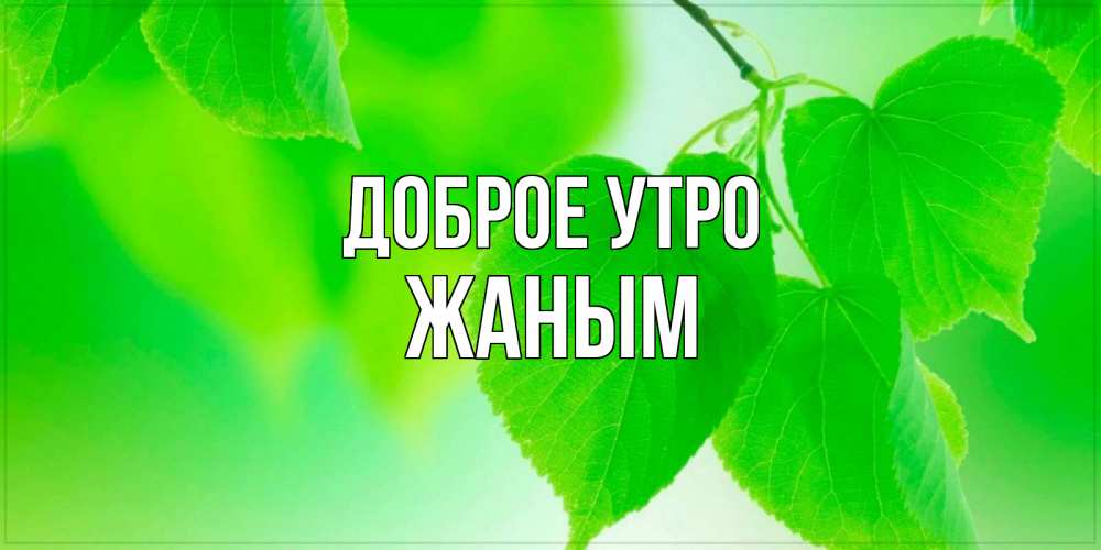 Открытка на каждый день с именем, Жаным Доброе утро доброе утро с березовыми листьями Прикольная открытка с пожеланием онлайн скачать бесплатно 