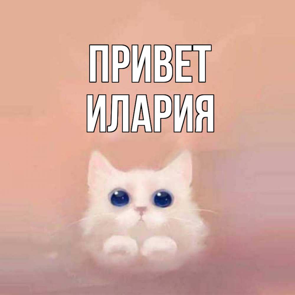 Открытка на каждый день с именем, Илария Привет котик белый в полете Прикольная открытка с пожеланием онлайн скачать бесплатно 