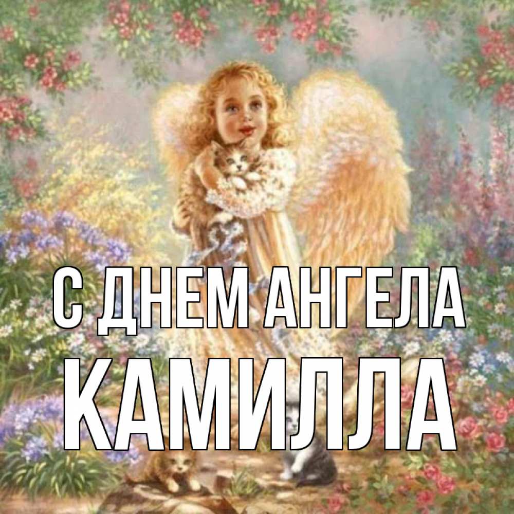 Открытка на каждый день с именем, Камилла С днем ангела держит котенка Прикольная открытка с пожеланием онлайн скачать бесплатно 