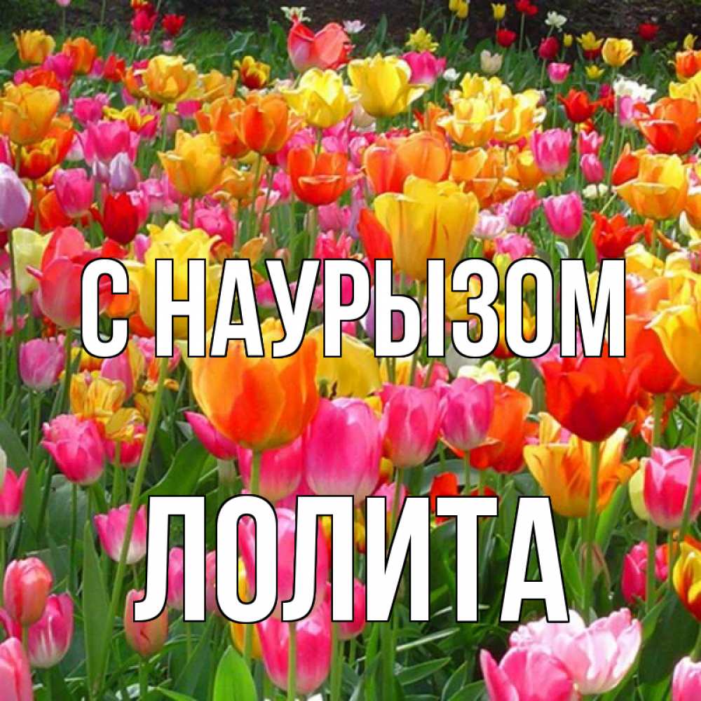 Открытка на каждый день с именем, Лолита С наурызом праздник весны наурыз 4 Прикольная открытка с пожеланием онлайн скачать бесплатно 