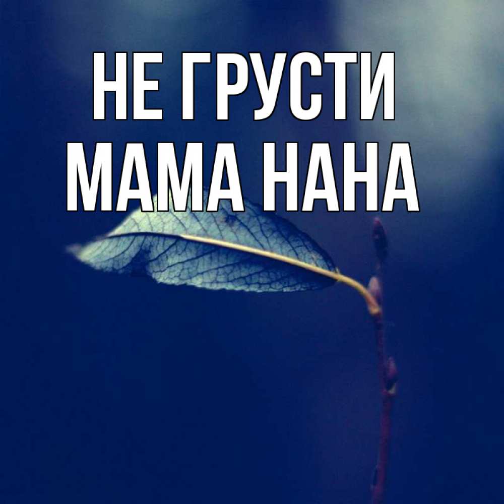 Открытка на каждый день с именем, Мама-Нана Не грусти растение Прикольная открытка с пожеланием онлайн скачать бесплатно 