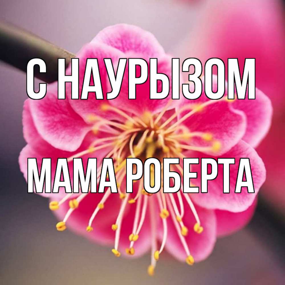Открытка на каждый день с именем, Мама-Роберта С наурызом цветы Прикольная открытка с пожеланием онлайн скачать бесплатно 