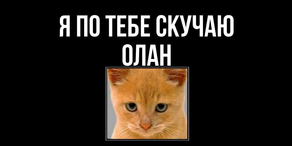 Открытка на каждый день с именем, Олан Я по тебе скучаю открытки рыжий котенок скучает по тебе Прикольная открытка с пожеланием онлайн скачать бесплатно 