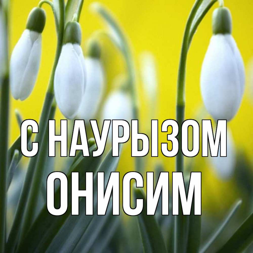 Открытка на каждый день с именем, Онисим С наурызом весенние цветы Прикольная открытка с пожеланием онлайн скачать бесплатно 