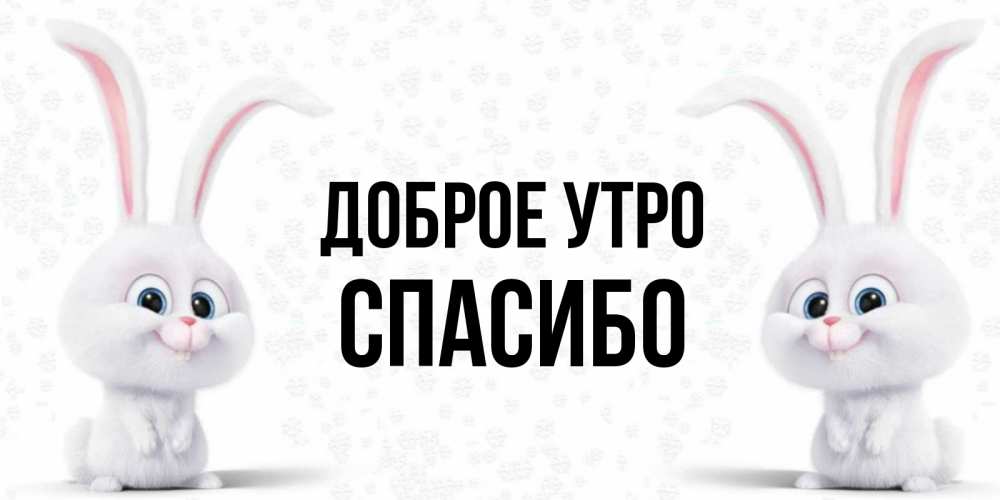 Открытка на каждый день с именем, СПАСИБО Доброе утро кролики с длинными ушками Прикольная открытка с пожеланием онлайн скачать бесплатно 