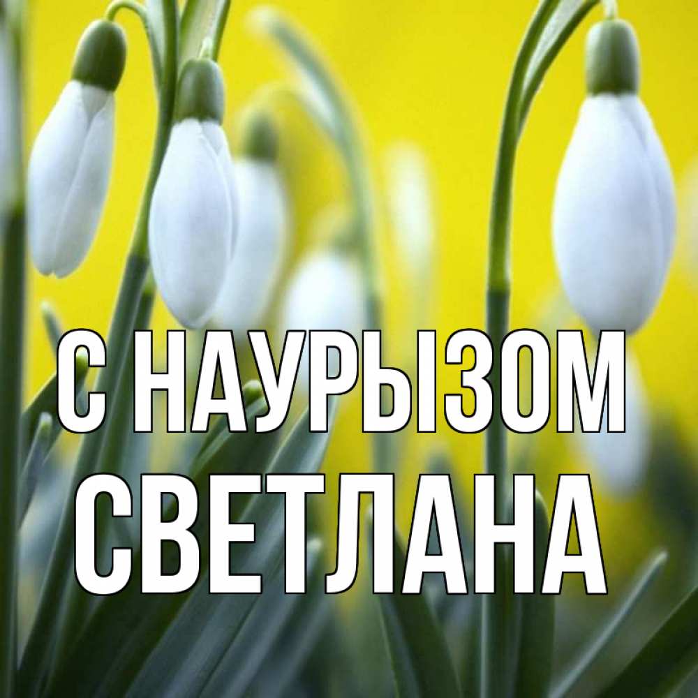 Открытка на каждый день с именем, Светлана С наурызом весенние цветы Прикольная открытка с пожеланием онлайн скачать бесплатно 