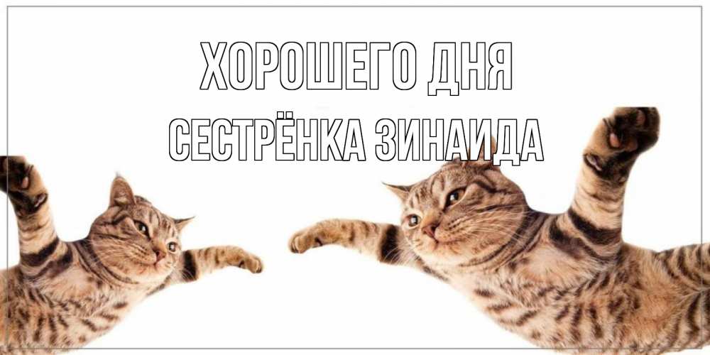 Открытка на каждый день с именем, Сестрёнка-Зинаида Хорошего дня хорошего дня Прикольная открытка с пожеланием онлайн скачать бесплатно 