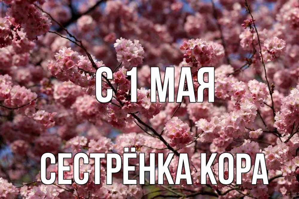 Открытка на каждый день с именем, Сестрёнка-Кора С 1 мая С 1 мая Прикольная открытка с пожеланием онлайн скачать бесплатно 
