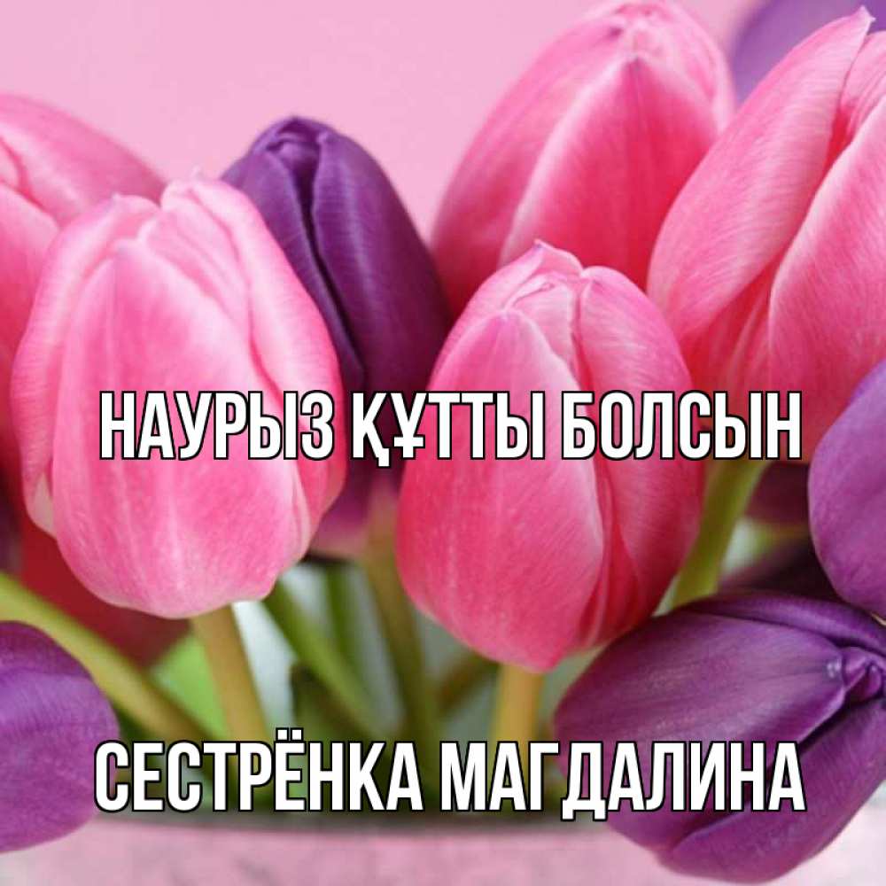 Открытка на каждый день с именем, Сестрёнка-Магдалина Наурыз құтты болсын маме 1 Прикольная открытка с пожеланием онлайн скачать бесплатно 