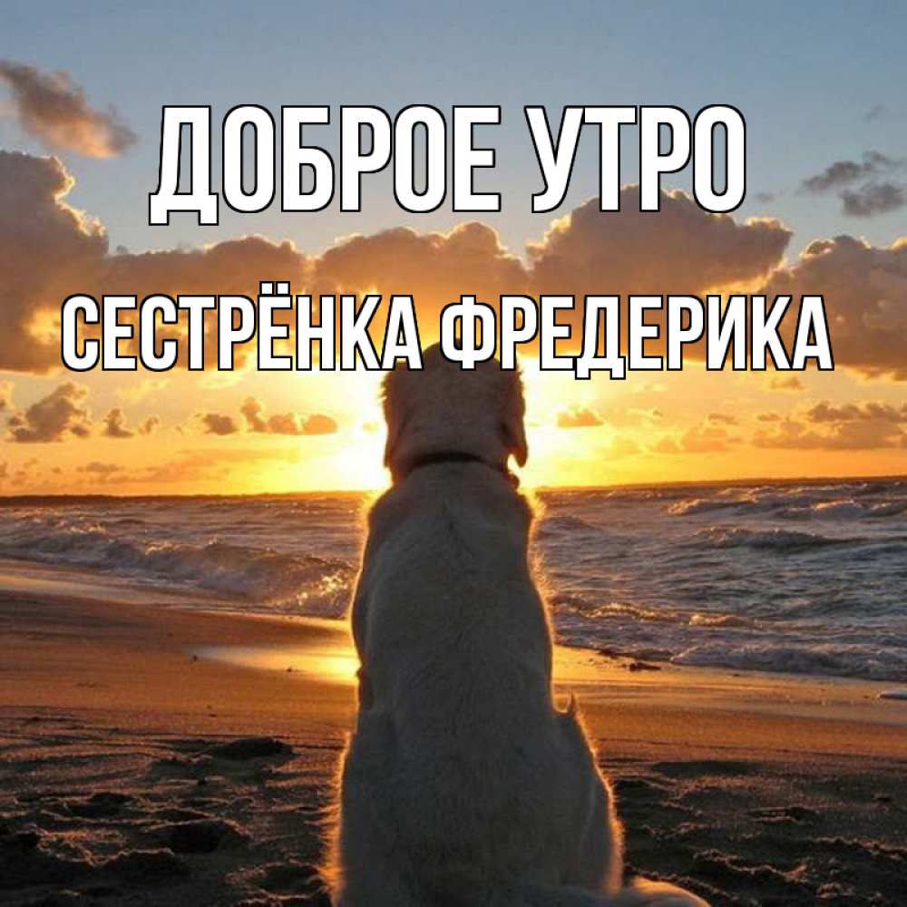 Открытка на каждый день с именем, Сестрёнка-Фредерика Доброе утро восход солнца Прикольная открытка с пожеланием онлайн скачать бесплатно 