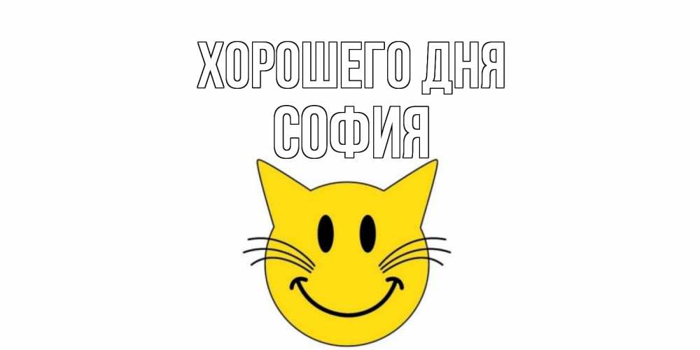 Открытка на каждый день с именем, София Хорошего дня открытка с котом Прикольная открытка с пожеланием онлайн скачать бесплатно 