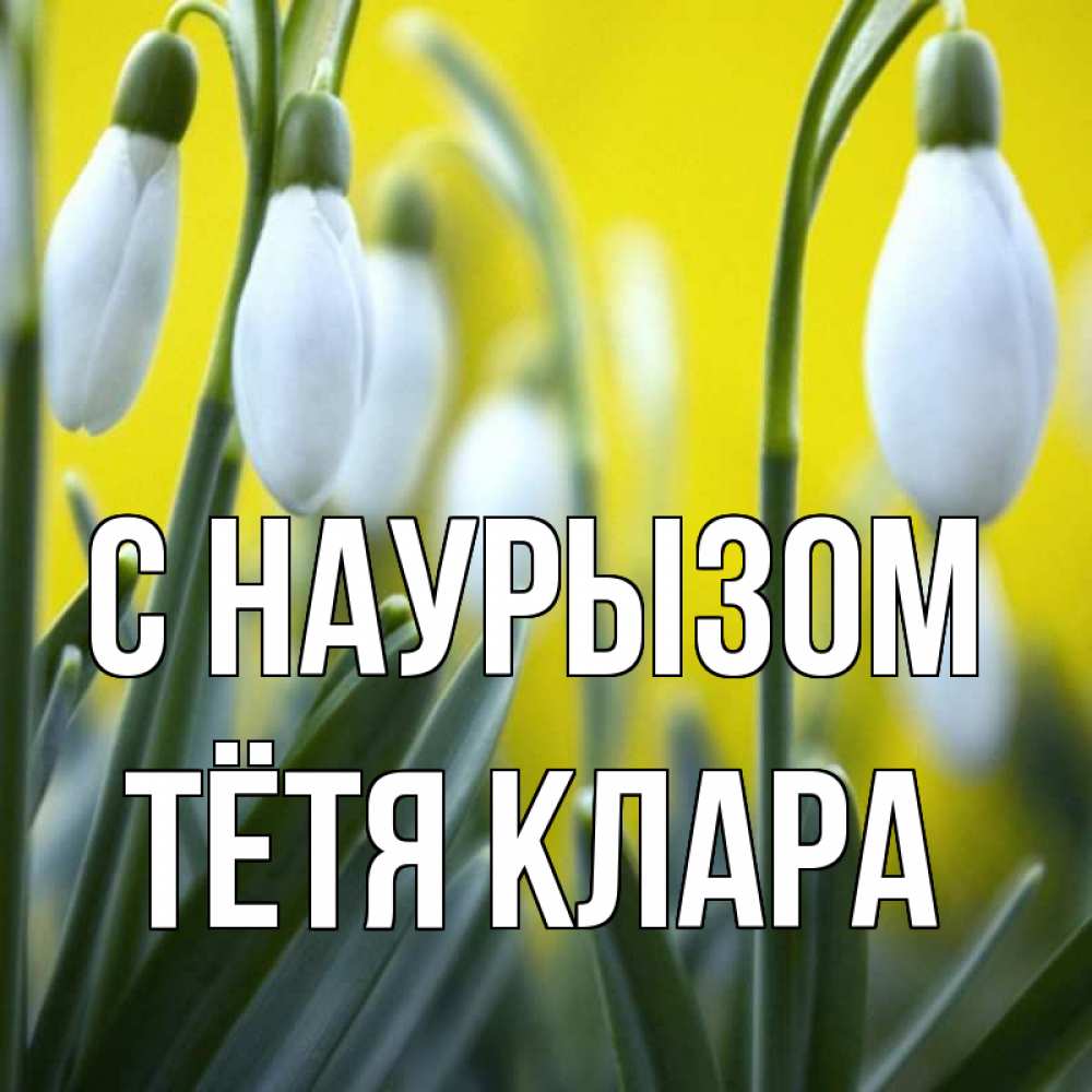 Открытка на каждый день с именем, Тётя-Клара С наурызом весенние цветы Прикольная открытка с пожеланием онлайн скачать бесплатно 