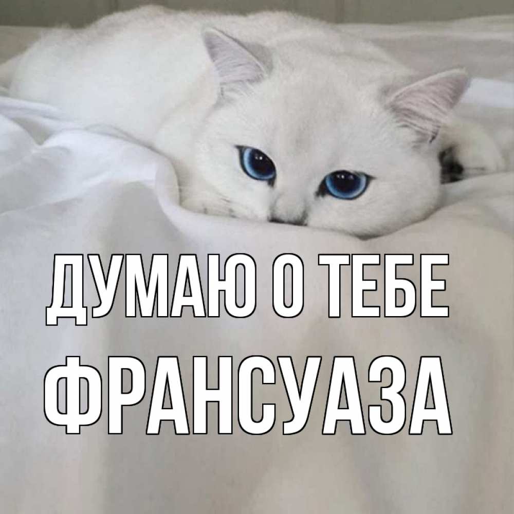 Открытка на каждый день с именем, Франсуаза Думаю о тебе я очень по тебе скучаю и тоскую Прикольная открытка с пожеланием онлайн скачать бесплатно 