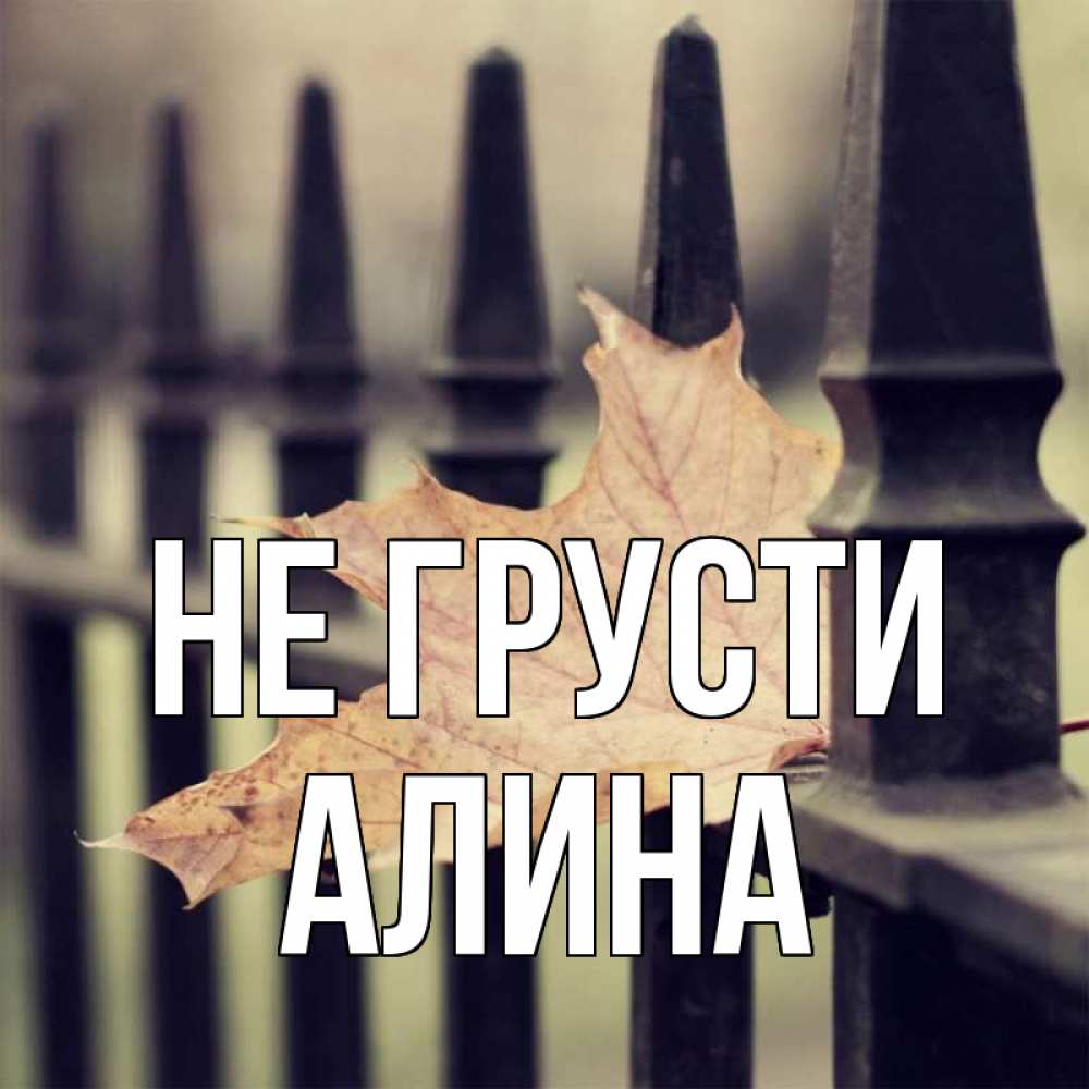 Открытка на каждый день с именем, Алина Не грусти лист клена Прикольная открытка с пожеланием онлайн скачать бесплатно 