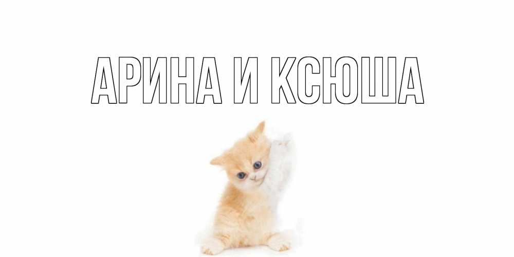 Открытка на каждый день с именем, Арина-и-Ксюша Главная кот Прикольная открытка с пожеланием онлайн скачать бесплатно 
