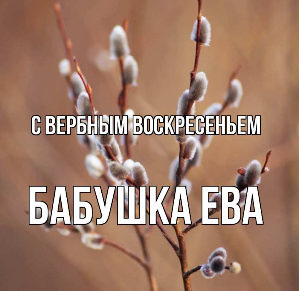 Открытка на каждый день с именем, Бабушка-Ева С вербным воскресеньем верба Прикольная открытка с пожеланием онлайн скачать бесплатно 