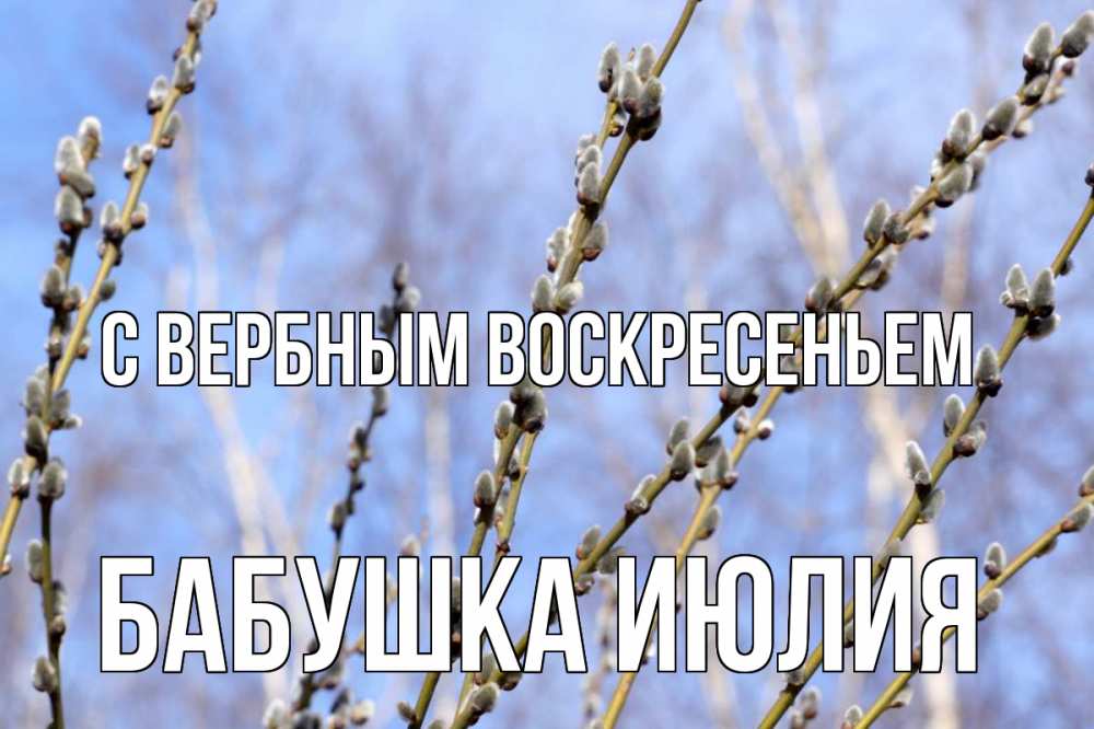 Открытка на каждый день с именем, Бабушка-Июлия С вербным воскресеньем верба Прикольная открытка с пожеланием онлайн скачать бесплатно 