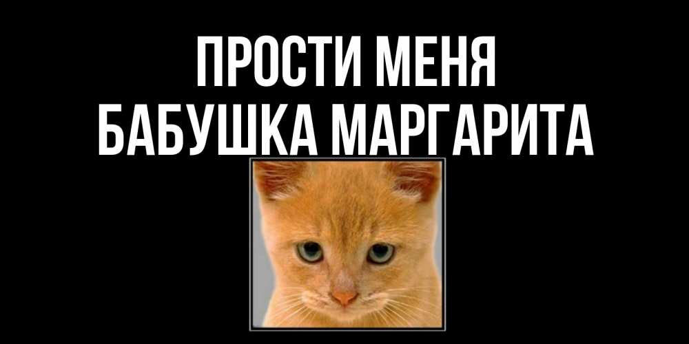Открытка на каждый день с именем, Бабушка-Маргарита Прости меня рыжий грустный кот просит прощения Прикольная открытка с пожеланием онлайн скачать бесплатно 