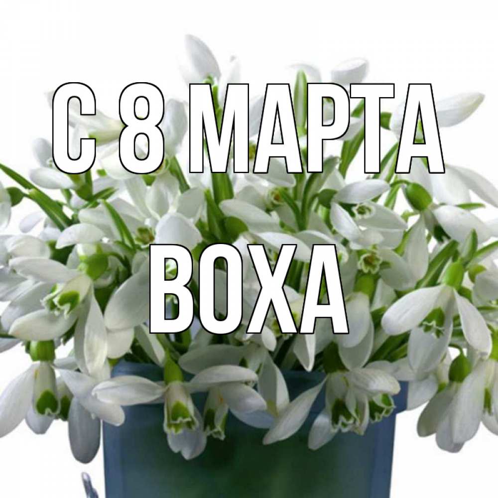Открытка на каждый день с именем, Воха С 8 марта цветы к международному женскому дню Прикольная открытка с пожеланием онлайн скачать бесплатно 