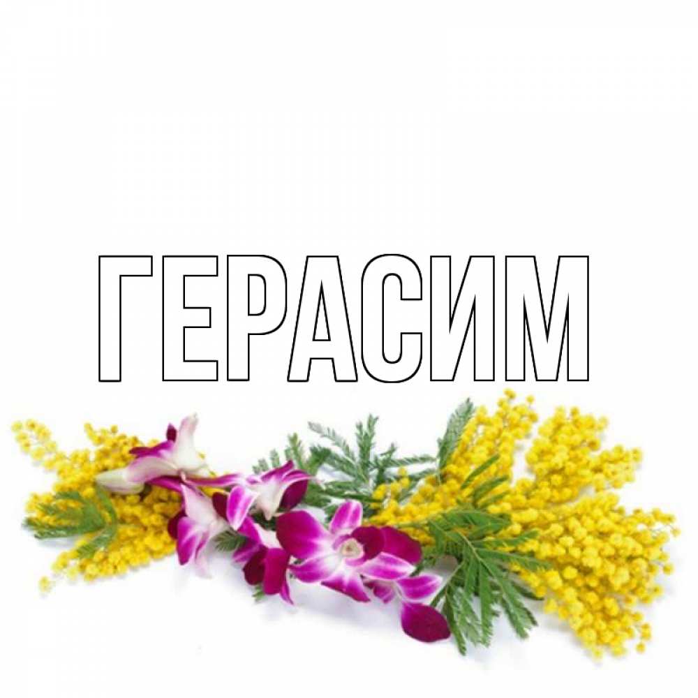 Открытка на каждый день с именем, Герасим Главная открытка на международный женский день с цветами  1 Прикольная открытка с пожеланием онлайн скачать бесплатно 