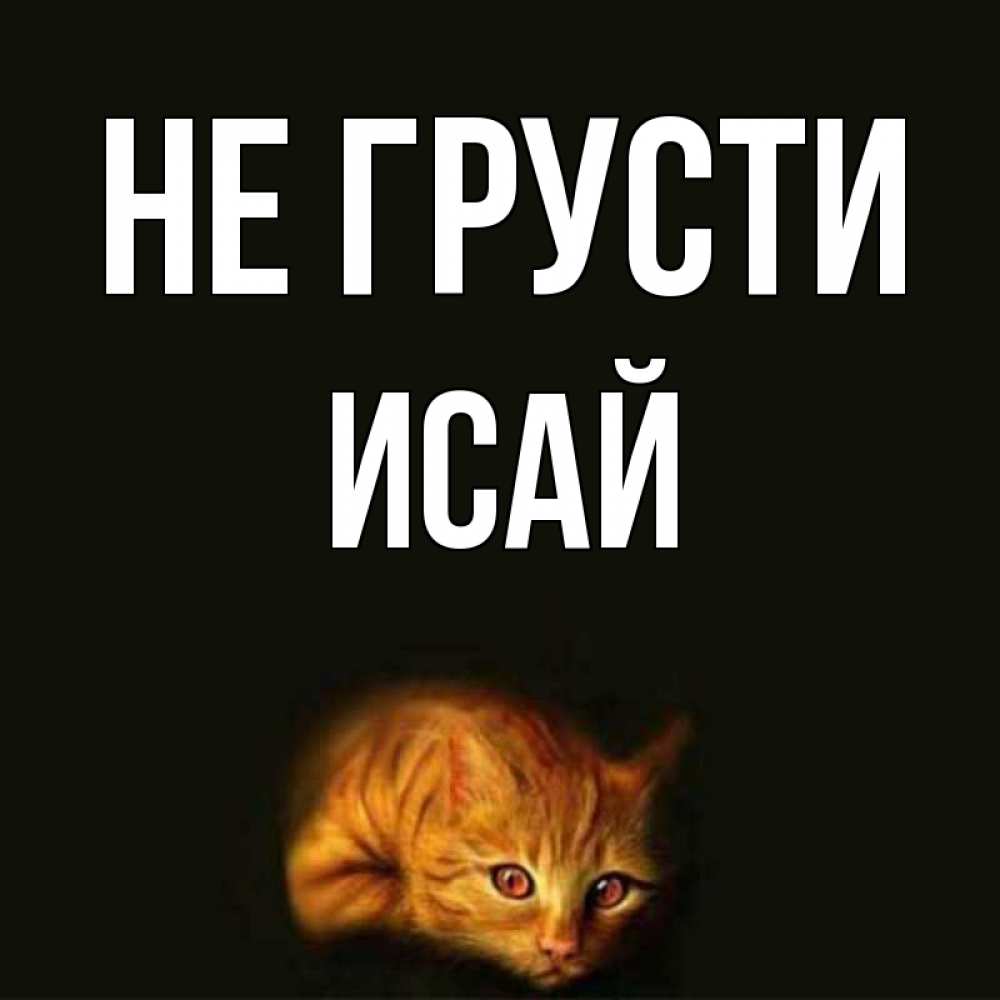 Открытка на каждый день с именем, Исай Не грусти лежащий кот в темноте Прикольная открытка с пожеланием онлайн скачать бесплатно 