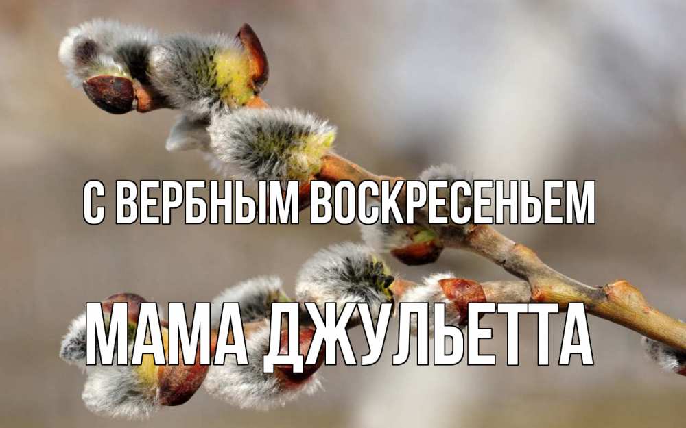Открытка на каждый день с именем, Мама-Джульетта С вербным воскресеньем Верба Прикольная открытка с пожеланием онлайн скачать бесплатно 