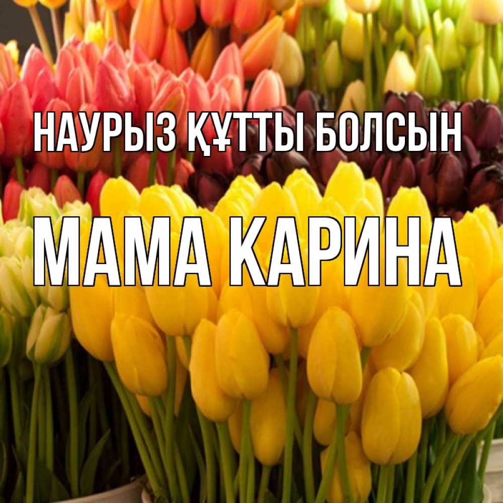 Открытка на каждый день с именем, Мама-Карина Наурыз құтты болсын цветы Прикольная открытка с пожеланием онлайн скачать бесплатно 